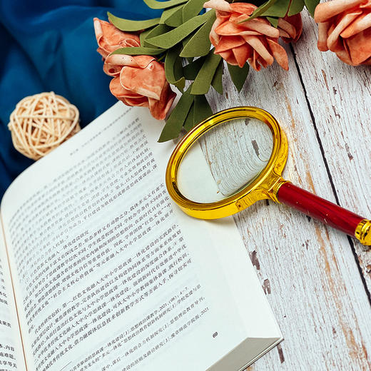 大中小学思政课一体化建设年度发展报告 2022年 许瑞芳 翟贤亮 尚伟伟 蒋雪莲 张宗禧著 商品图9