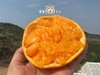 春见耙耙柑 精选8斤礼盒装 商品缩略图0