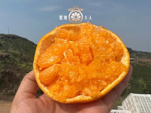 春见耙耙柑 精选8斤礼盒装 商品图0