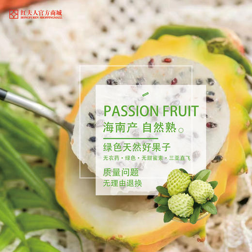 红夫人商城 海南空运 燕窝果 水果届的爱马仕 8个/约3.5斤装 商品图1