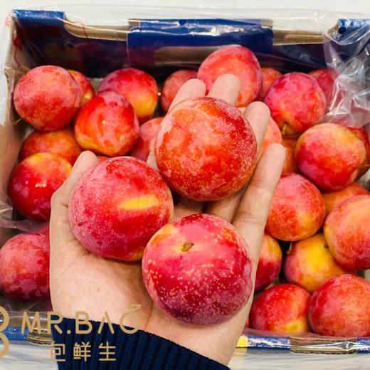 智利🇨🇱6J樱桃李（5斤装） 商品图3