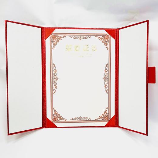 奥丽丝纹欧式三折红色A4荣誉证书三折页高档红色烫金荣誉证书奖状奖励1本 商品图2