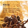 干货无硫未开伞茶树菇新鲜菌菇干货200g/袋 商品缩略图4