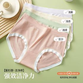 CZC-2134#  新品紫衫醇洁净裤舒适女士内裤（单条装）