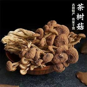 干货无硫未开伞茶树菇新鲜菌菇干货200g/袋
