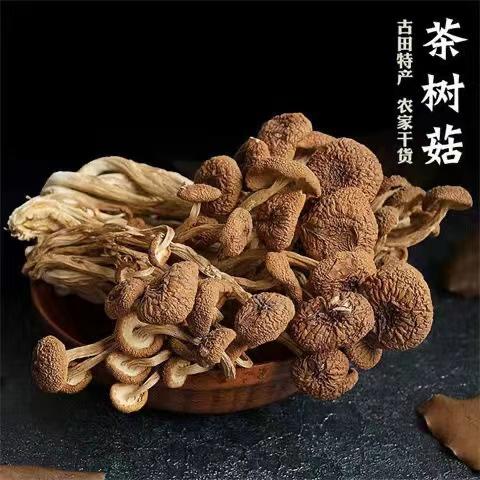 干货无硫未开伞茶树菇新鲜菌菇干货200g/袋 商品图0