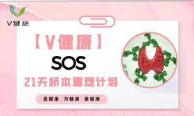【专栏】21天桥本重塑计划