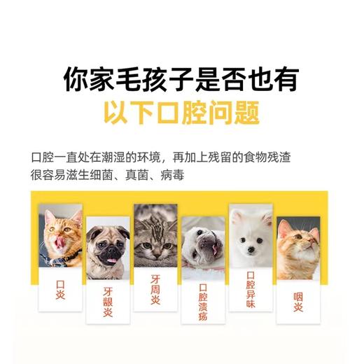 【超好用口喷】新包装弗尔莱葆口咽清喷剂猫咪狗狗口炎口臭溃疡红肿30ml  2027/10 商品图3