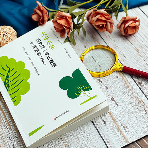 大中小学思政课一体化建设年度发展报告 2022年 许瑞芳 翟贤亮 尚伟伟 蒋雪莲 张宗禧著 商品图6