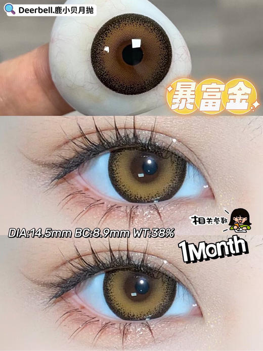 月抛 Deerbell  暴富金 14.5 基弧8.9 金棕 商品图0