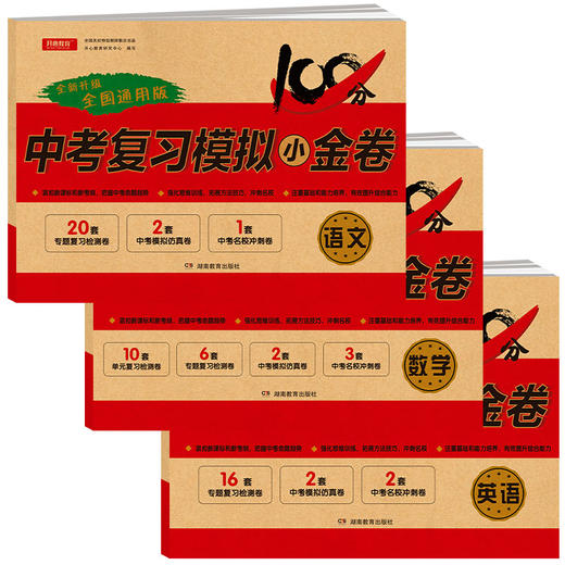 2025春【初中下册】期末冲刺复习卷+中考模拟小金卷 商品图3
