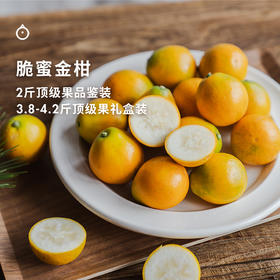 纯甜不涩的小糖炮！一口VC满满【脆蜜金柑】