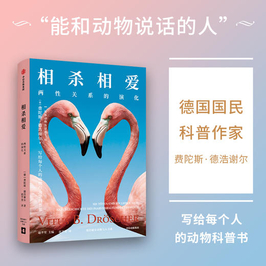 相杀相爱 两性关系的演化 商品图2