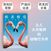 相杀相爱 两性关系的演化 商品缩略图1