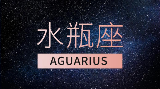 水瓶座 商品图0