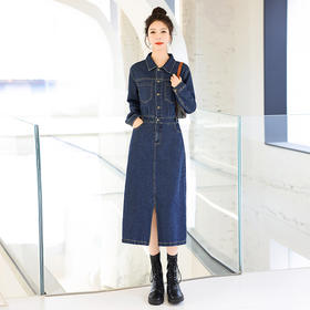 WX2306-19春季新款时尚休闲百搭长款显瘦后腰牛筋牛仔连衣裙