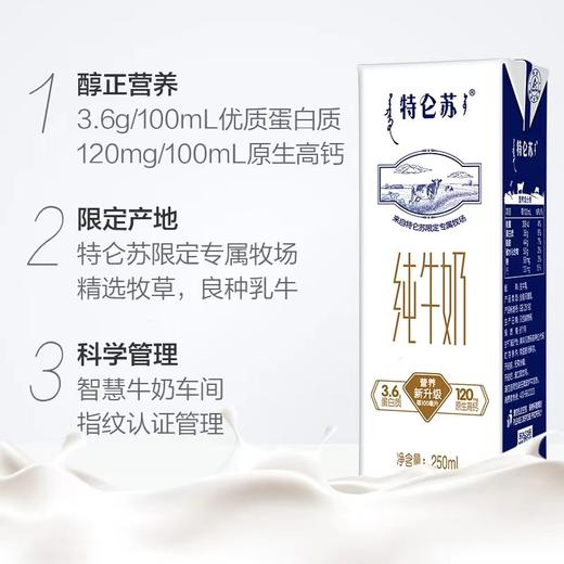 特仑苏丨纯牛奶 250ml*12盒 商品图1
