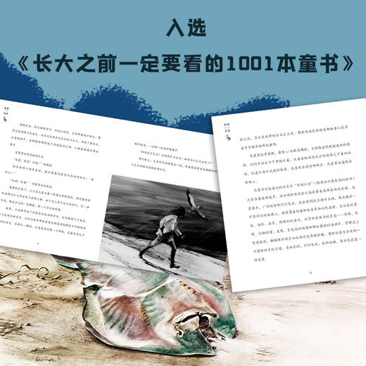 《风暴男孩》 商品图1