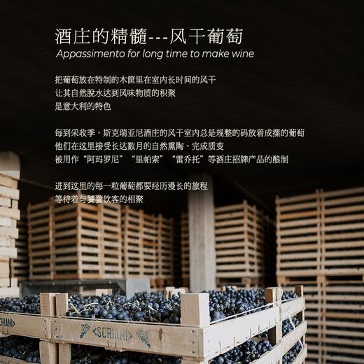 【连续12年获奖】阿玛罗尼经典干红葡萄酒 意大利原瓶进口 16%vol 商品图4