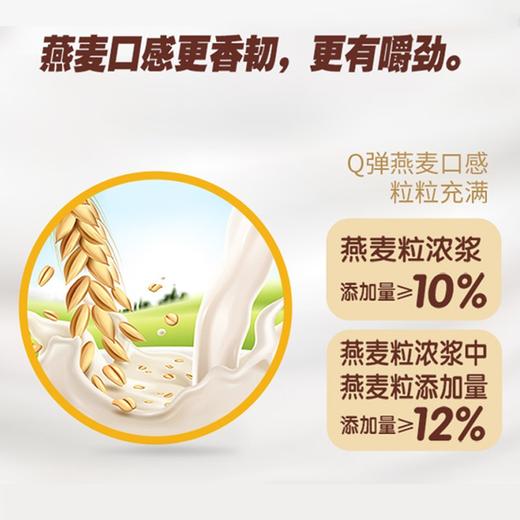 君乐宝嚼吧燕麦粒风味酸牛奶150g*5袋(赠150g) 商品图6