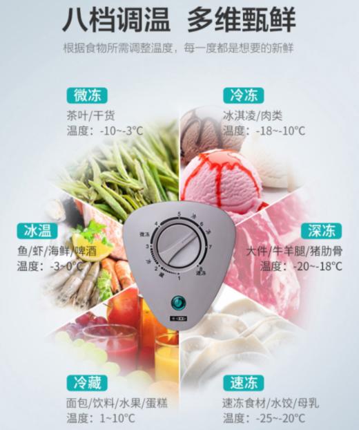 海信冰柜BD/BC-101F1/HC 101升冷藏冷冻转换冰柜 小型迷你冷柜 商品图2