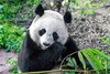 sussieshiwu 商品缩略图0