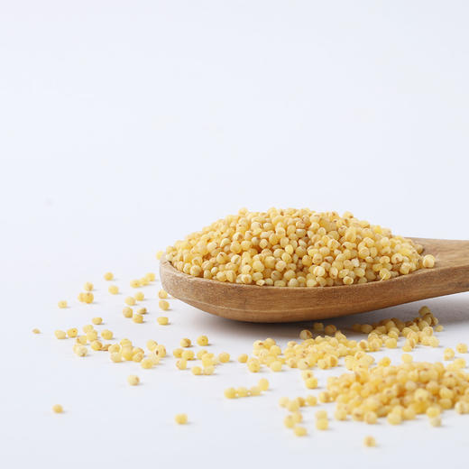 精力沛黄小米495g 商品图5