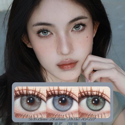 BOLLYCON日抛·耶稣纯灰&泰勒蓝灰&莱琳青灰·14.2mm 0-800度(无525/575) 韩产进口·一盒10片装(不同度数需购买两盒) 商品图0