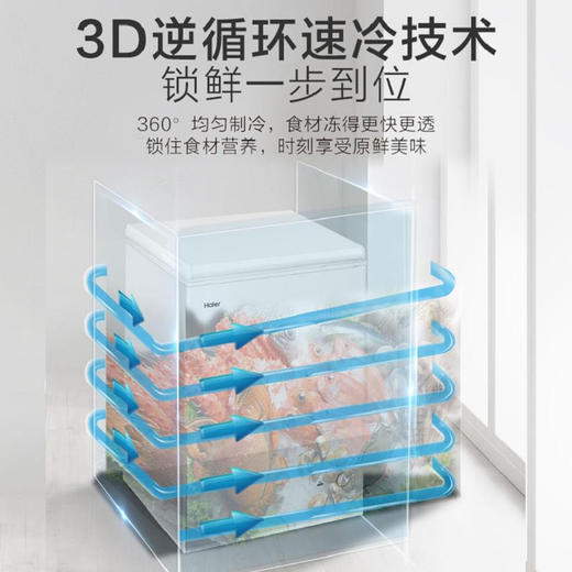 【海尔BC BD-100GH】海尔（Haier）冰柜家用小型一级能效卧式单温冷柜商用保鲜冷藏冷冻转换BC BD-100GH 商品图4