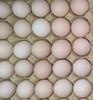 【生鲜预定】白皮鸡蛋30颗 商品缩略图0