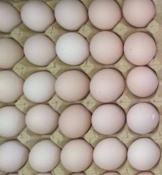 【生鲜预定】白皮鸡蛋30颗 商品图0