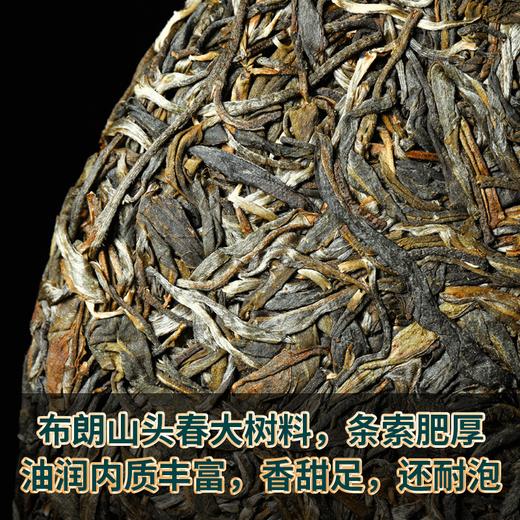 吉顺号普洱茶云南七子饼勐海早春古树茶布朗山生茶饼357g 商品图4