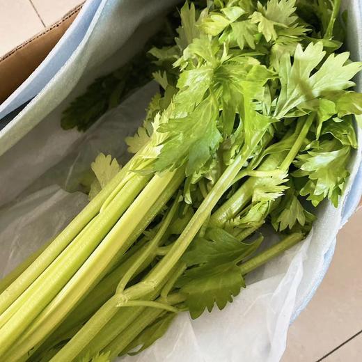 有机水果西芹，现摘现发，节后西芹生长周期较长，部分叶子可能老些，自行摘去即可（顺丰包邮，云南海南新疆西藏不发货） 商品图3