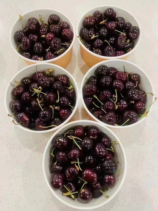 智利奥数黑车🍒，硬、脆、甜，又浓郁 商品图6
