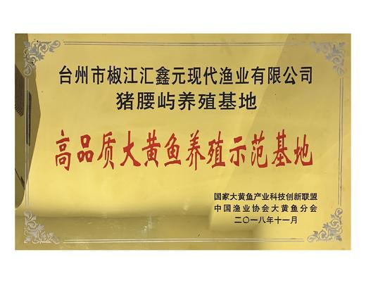 正宗“大陈洋”牌大陈黄鱼礼盒装 商品图7