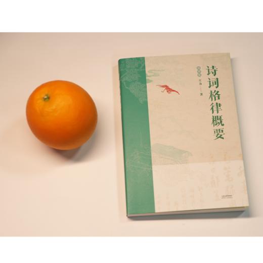 诗词格律概要 插图版 商品图2