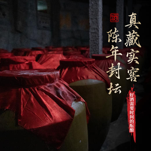 FM98.6台庆封坛酒 5L(10斤)/坛 浓香型 10年基酒 赠封坛凭证承诺书 年货庆典纪念日周年庆生日宴 用酒 顺丰/京东包邮 （也可酒厂酒窖存酒 随时自取） 商品图2