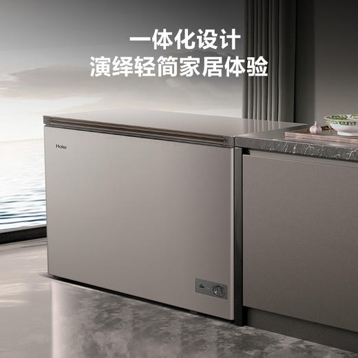 海尔226升冰柜家用冷柜小型商用大容量保鲜冷冻减霜 商品图3