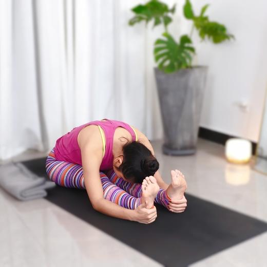 第五十课：双腿背部伸展式（坐立体前屈） 商品图0