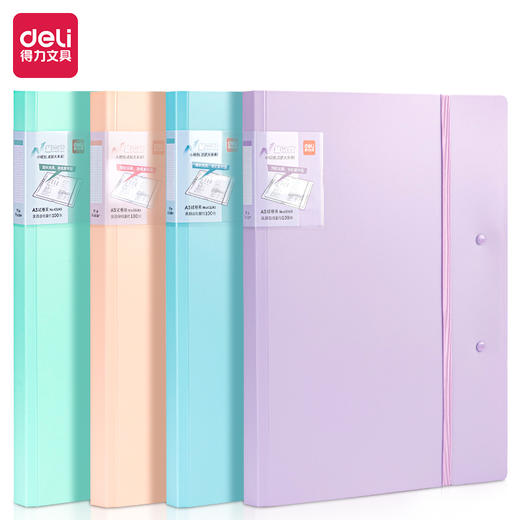 得力63245备考试卷夹(混)(个) 商品图0