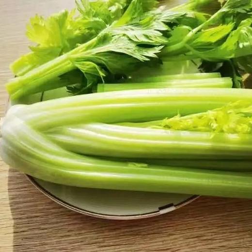 有机水果西芹，现摘现发，节后西芹生长周期较长，部分叶子可能老些，自行摘去即可（顺丰包邮，云南海南新疆西藏不发货） 商品图2