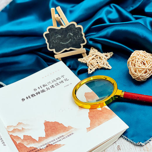 乡村振兴战略中乡村教师能力建设研究 教育的温度丛书 卢尚建 商品图11