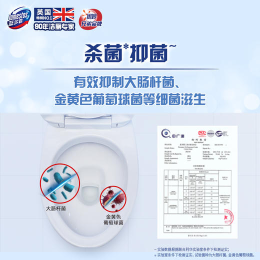 蓝多霸三效水箱洁厕宝沧海星光香 180G 商品图4