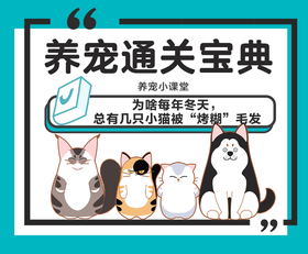 为啥每年冬天， 总有几只小猫被“烤糊”毛发