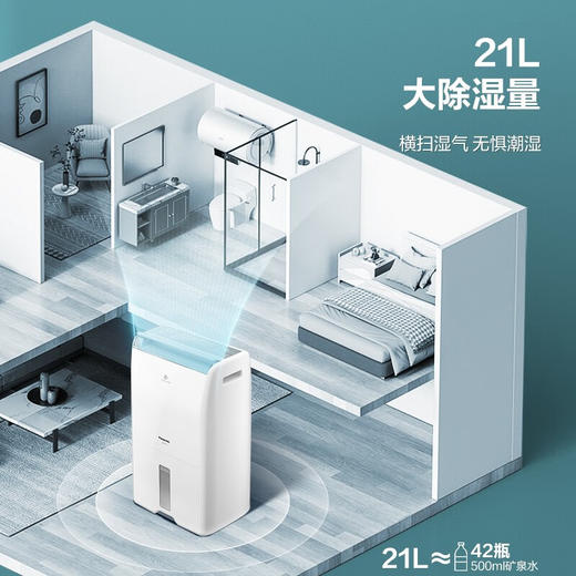 【年底大促  特价机】松下除湿机 21LPM2.5感应纳诺怡除湿净化 2合1 F-42C2YTA 商品图2