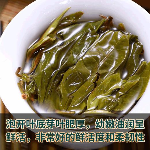 吉顺号普洱茶云南七子饼勐海早春古树茶布朗山生茶饼357g 商品图7