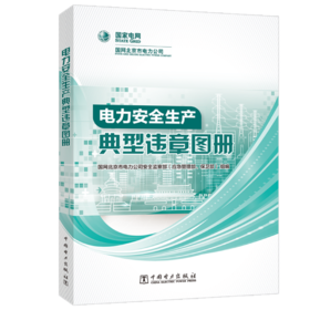 电力安全生产典型违章图册