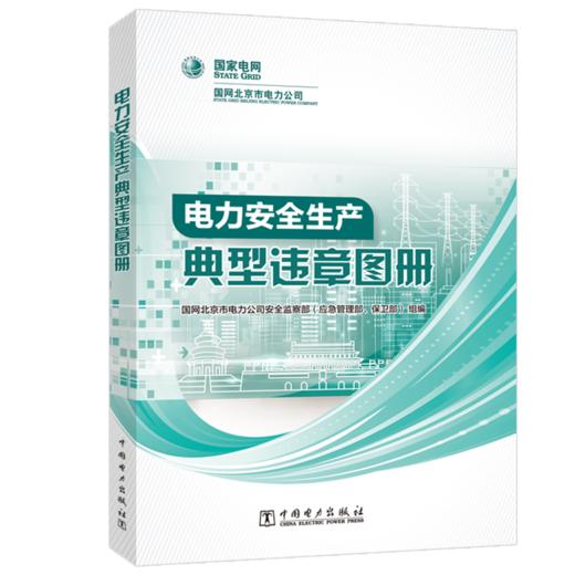 电力安全生产典型违章图册 商品图0