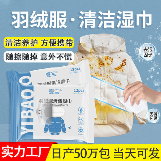 羽绒服湿巾清洁去污免洗衣物湿巾羽绒服专用清洁湿巾10包优惠装 商品图1
