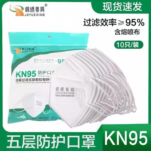 锦绣粤兴9500KN95五层过滤口罩防粉尘装修工业防护面罩防飞沫10个/袋 商品图0